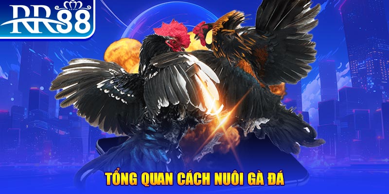 32vin game nổ hũ rút tiền mặt là gì