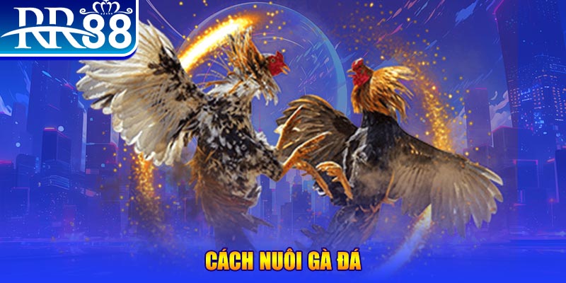 32vin Ws168 Đá Gà