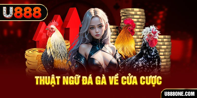 32vin hơn cả bạn bè