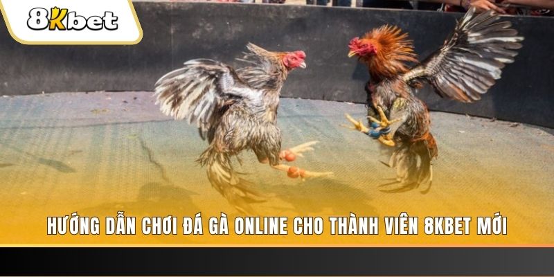 32vin JILI Game Bài 3d