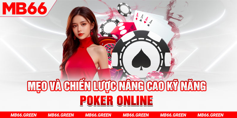 32vin chổi lông gà