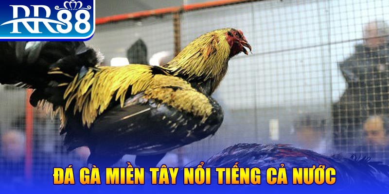 32vin xổ số đại phát