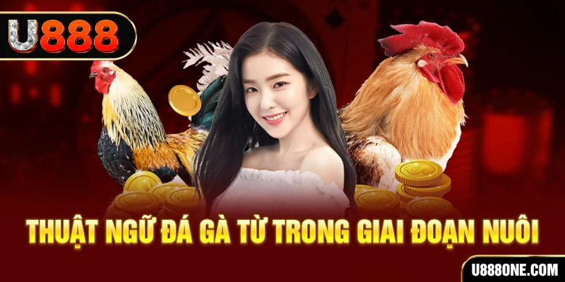 32vin xổ số miền bắc 90 ngày