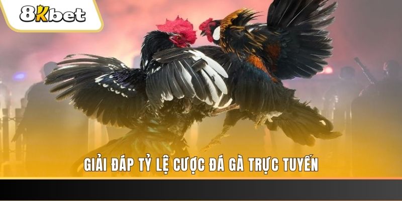 32vin ga choi cau thanh