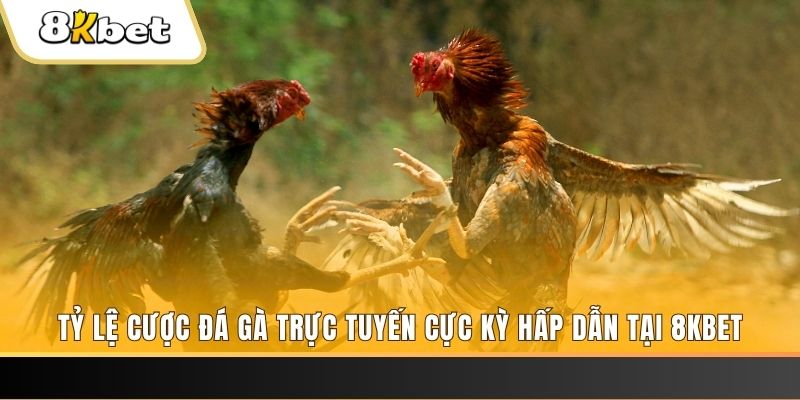 32vin đăng nhập mậu binh online