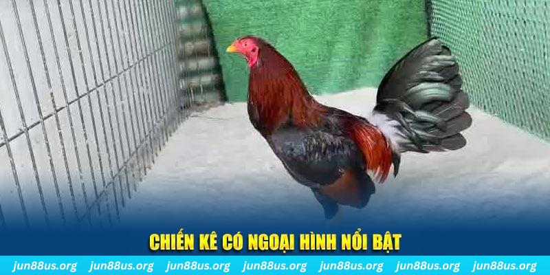 32vin game bắn cá