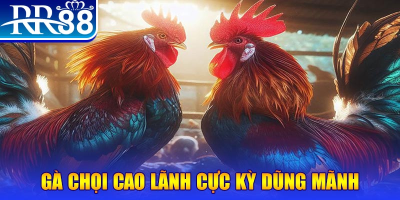 32vin HB Điện Tử