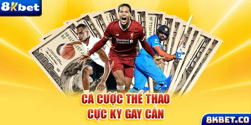 32vin xem đá gà trực tiếp